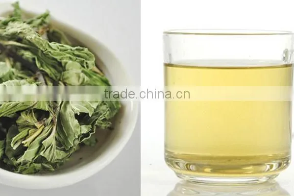 Hot Selling China Herb in Bulk Cold Resistance Herbal Tea Dried Mint Leaves Slimming Herbs photo-5