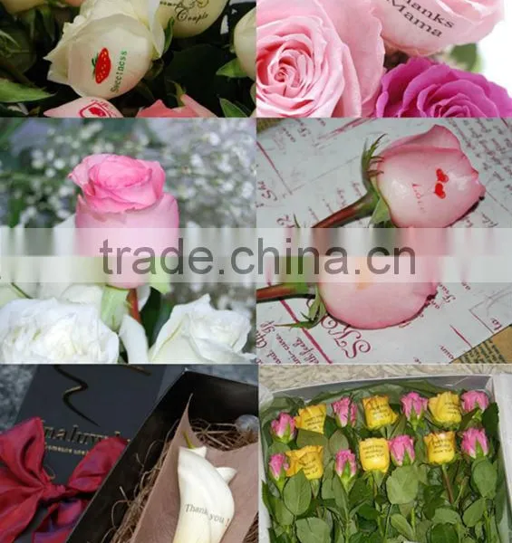 RGB White Lily Flower Printer photo-4