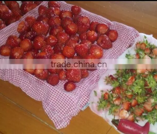 Strawberry Huller,Red photo-4