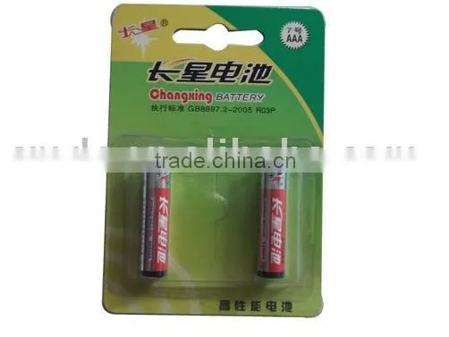 R03P Battery