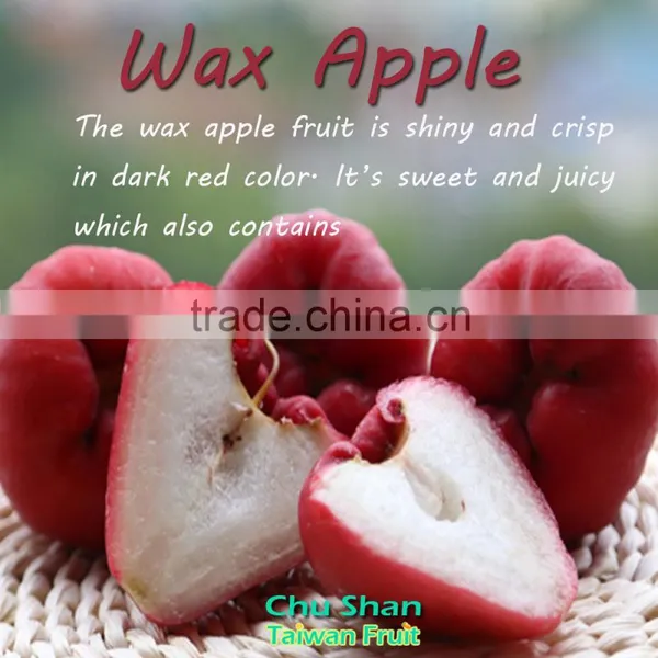 Best Quality FreshWax Apple photo-2