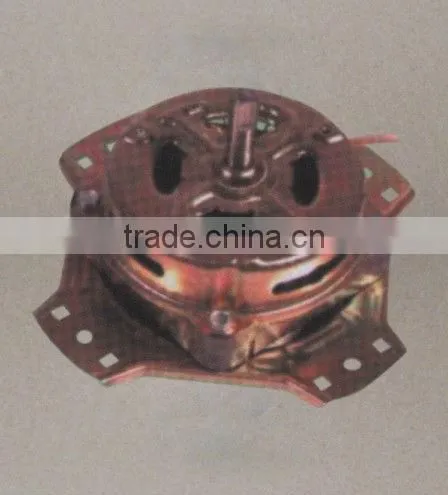 Washing Machine Motor Type