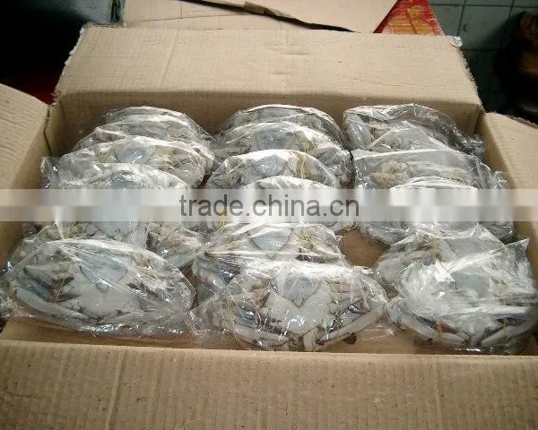 Frozen Blue Swimming Crab for Sale photo-3