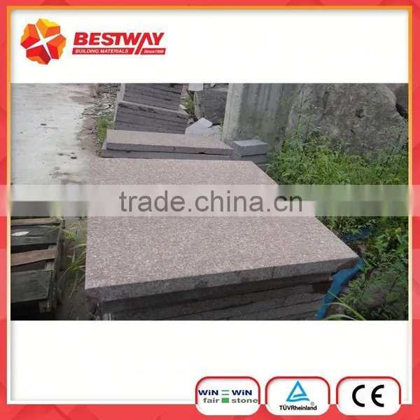 China Paving Tile Green Porphyry photo-2