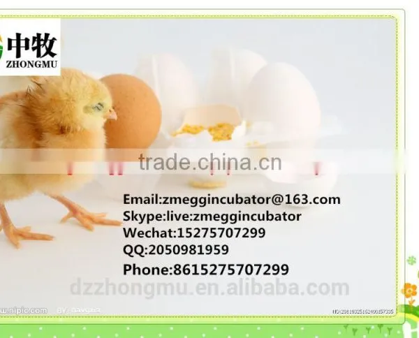 ZM-352 Egg Incubator/egg Incubator Factory /hot Sell Hatcher photo-6