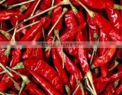 Chinese Supplier Wholesales Export Dried Red Chilli Import From China photo-3