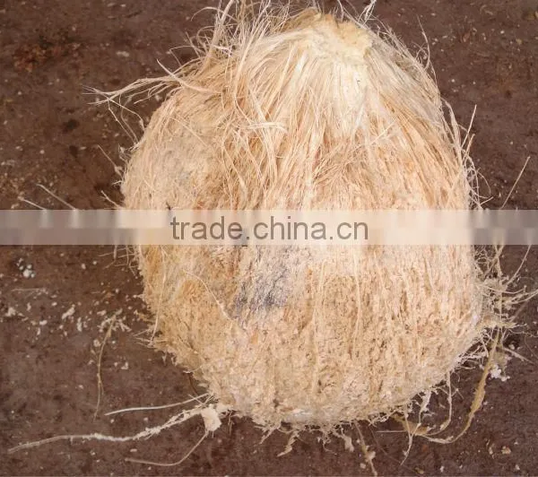 Semi Husk Coconut