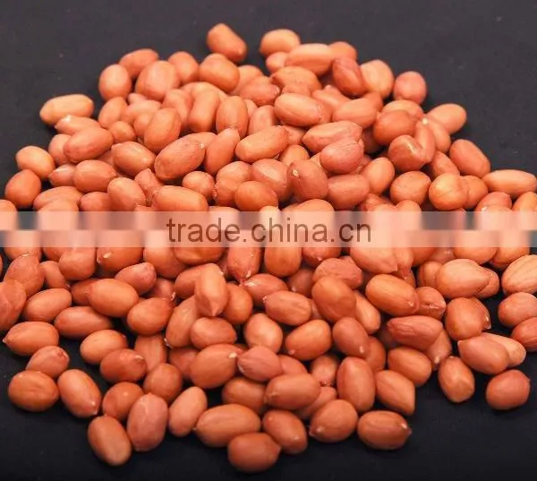 Roasted Peanuts photo-3