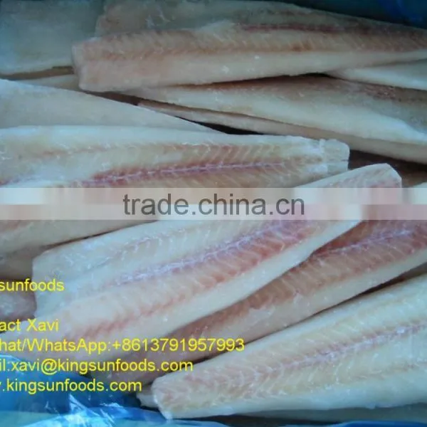 Wholesale New Frozen IQF Alaska Pollock Fillet With Good Price photo-3