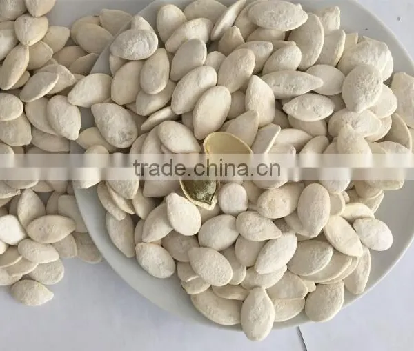 Heilongjiang Good Quality of Raw Snow Pumpkin Seed Factory Sale to Iran Market photo-4