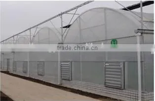 Polycarbonate Greenhouse photo-4