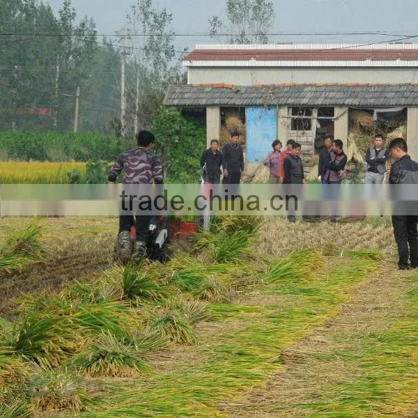 Cheap Wheat Reaper Binder Price for Sale photo-6