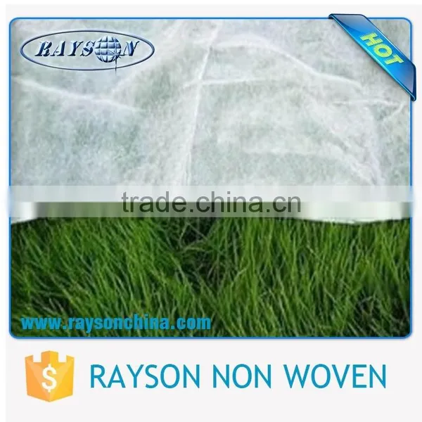 Reduce Pest and Diseases of the Tree Weed Control Fabric Mat photo-6