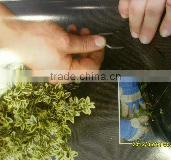 100G/M2 Weed Mats / PP Woven Fabrics photo-6