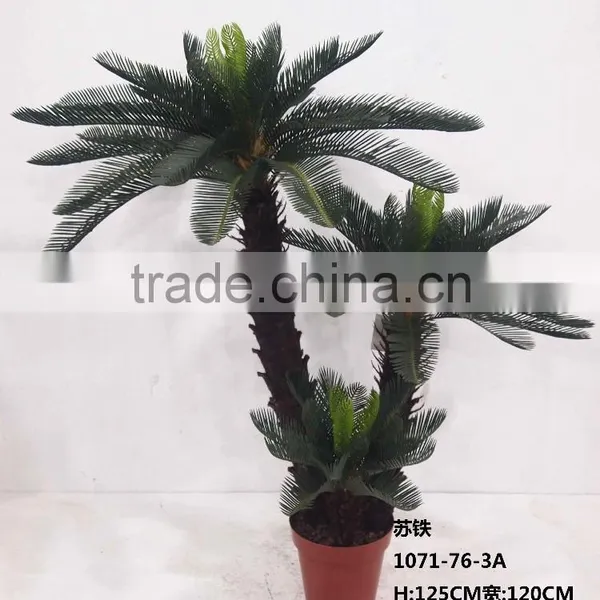 1071-32 Plastic Pot Cycads Tree photo-6