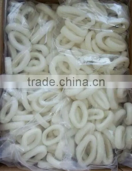 Frozen Squid Ring
