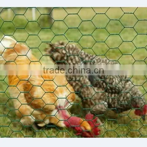Hexagonal Galvanized Chicken Farming Wire Mesh photo-2