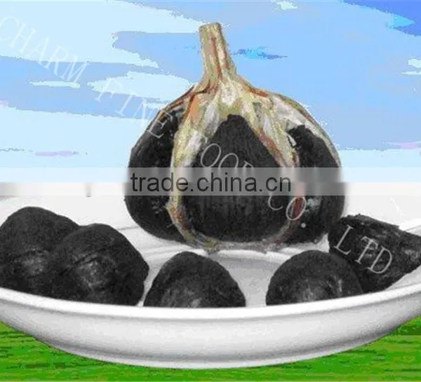 High Standard 100% Black Garlic Extract Soft Oil Capsule photo-2