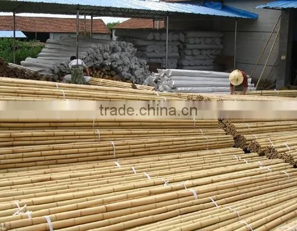 Sale Bamboo Poles Material/Bamboo Canes
