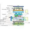 Precision Injection Mold