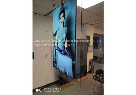 OLED Double Monitor OEM OLED Signage OLED Dual Monitor 4k OLED Dual Monitor OLED Signage Supplier photo-3