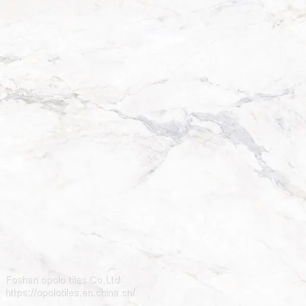 Fullbody Tiles / Glazed Tiles 800X800 photo-2