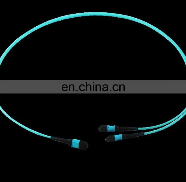 24F MPO Trunk Cable Assemblies Solutions Fan Out photo-2