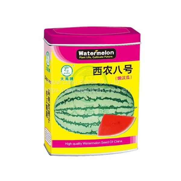 Medium Mature Large Fruit Watermelon Seedless Watermelon Watermelon Seeds Wholesale Suppliers