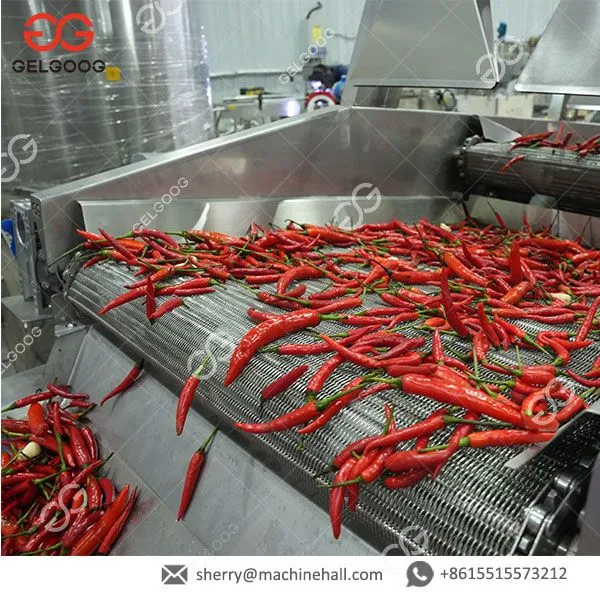 Automatic Small Hot Sauce Making Equipment Red Chilli Paste Making Machine Chilli photo-5