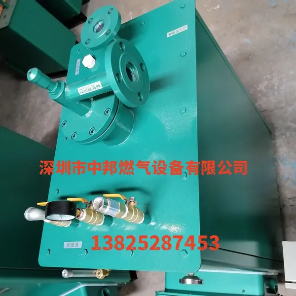 ZHONGBANG 200KG/H Square Floor-standing Type LPG Vaporizer photo-2
