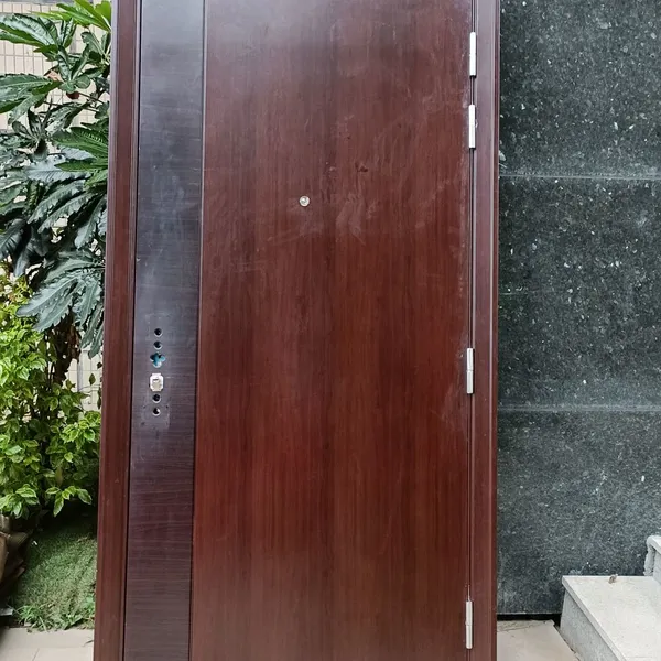 Steel entrance door