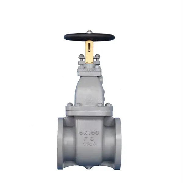 Hot Sale JIS Cas Iron Flange Type Gate Valve Use Marine FC 5K 100A 65A Gate Valve photo-2