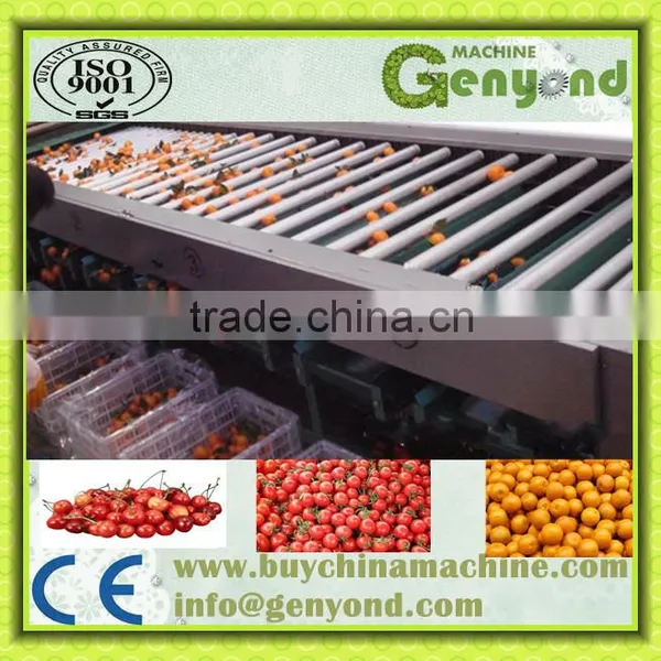 fruit grading machine