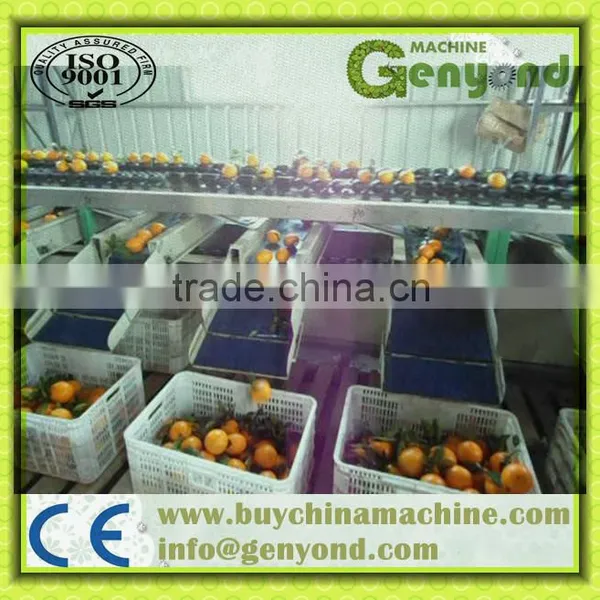 Apple Grading Machine