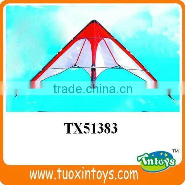 the Chinese Promotional Pocket Kite Factory photo-2