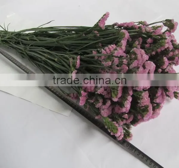 Colorful Hot Sale Decorative Supplies Myosotis photo-6