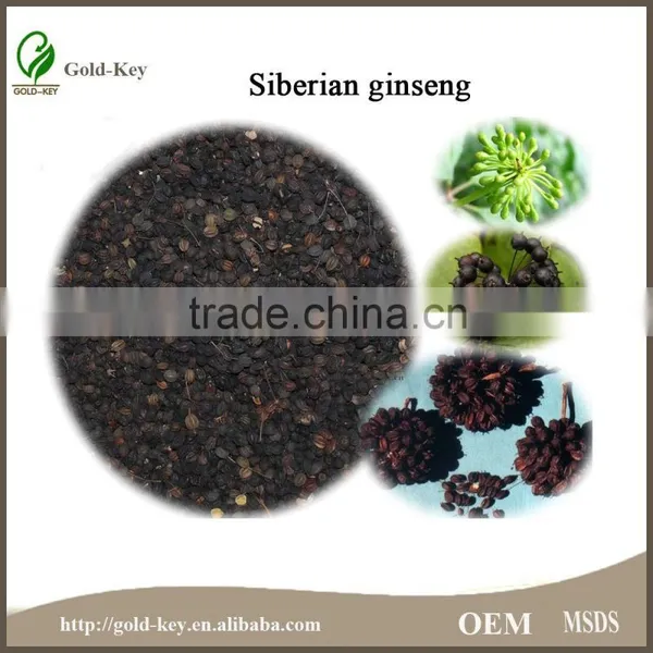 8%-15% Eleutheroside Natural Siberian Ginseng Extract photo-6