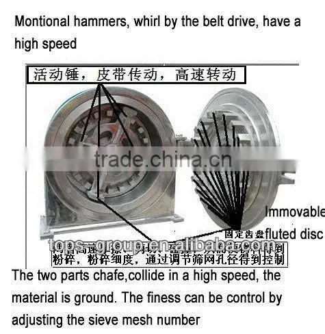 SS304 Granular Grinding Machine photo-5