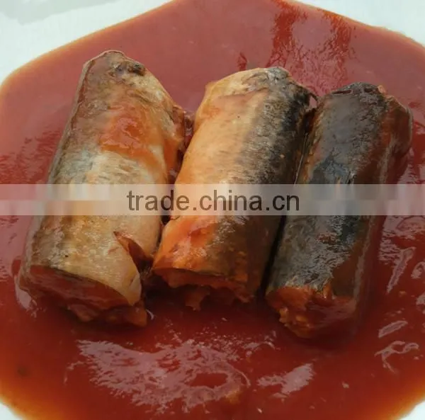 Oval Can Best Canned Sardine in Toamto Sauce Sardinas en Lata en Salsa de Tomate (125g/155g/425g) photo-2