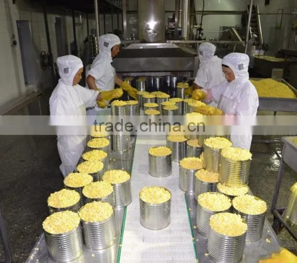 2015 Fresh Made A9 Canned Sweet Corn photo-4