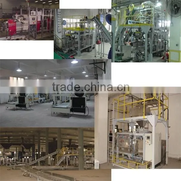 GFCK-G2 Automatic Heavy Bag Granular Packaging Machine Unit photo-3