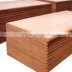 Container Plywood photo-3