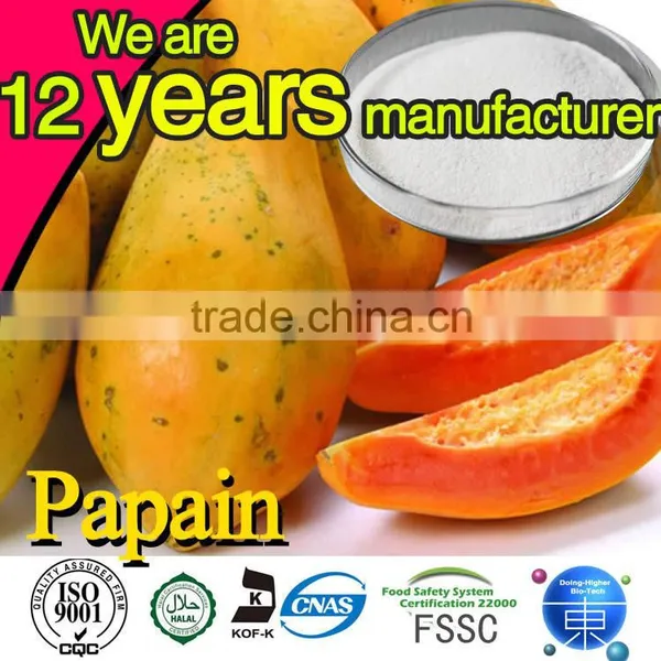 High Quality Factory Supply Enzymes Food Additive for Bread