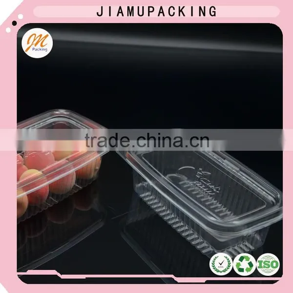 Made in China Clear PET Blister Packaging photo-3