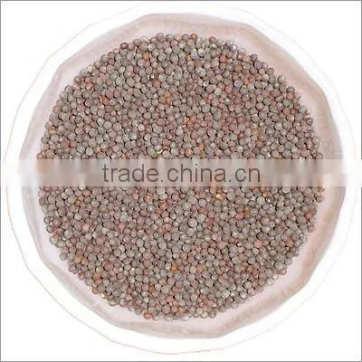 Mustard Seed