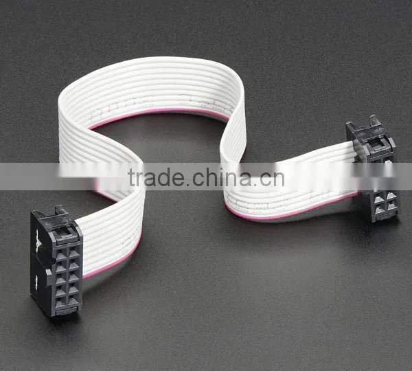 10 Pin socket/socket IDC Cable