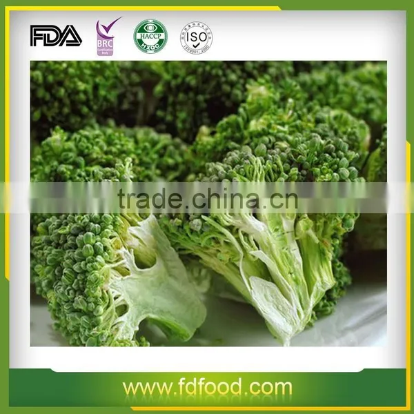 Cheap Price Freeze Dried Fruits and Vegetables Natural Freeze Dried Broccoli photo-5