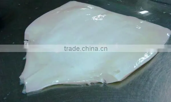 Frozen Squid Tube photo-5