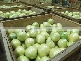 2015 GuanXi High Quality Fresh Pomelo photo-4