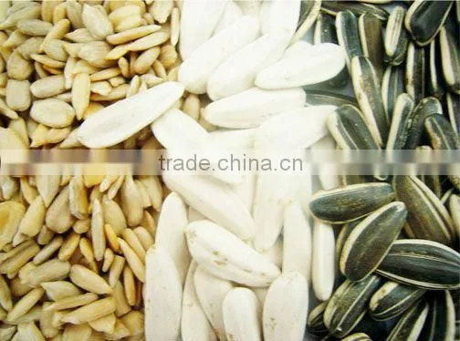 Sunflower Seeds photo-2